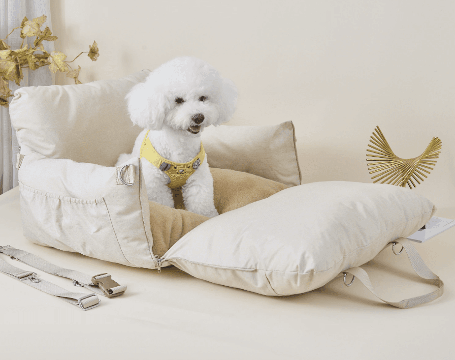 Small dog seated in a light travel carrier